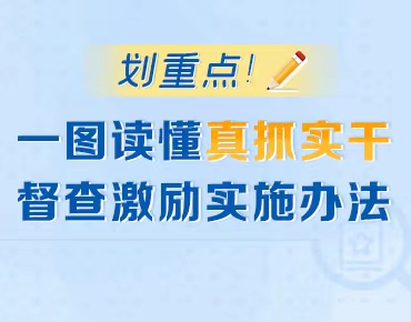 政策简读丨划重点！一图读懂真抓实干督...