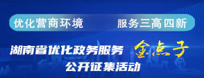 湖南省优化政务服务金点子